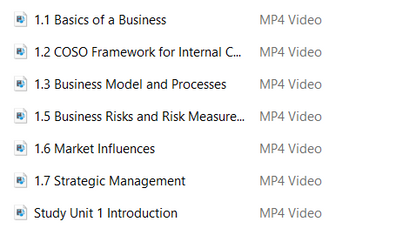 2025 Gleim CIA Video Lecture (Part 2)